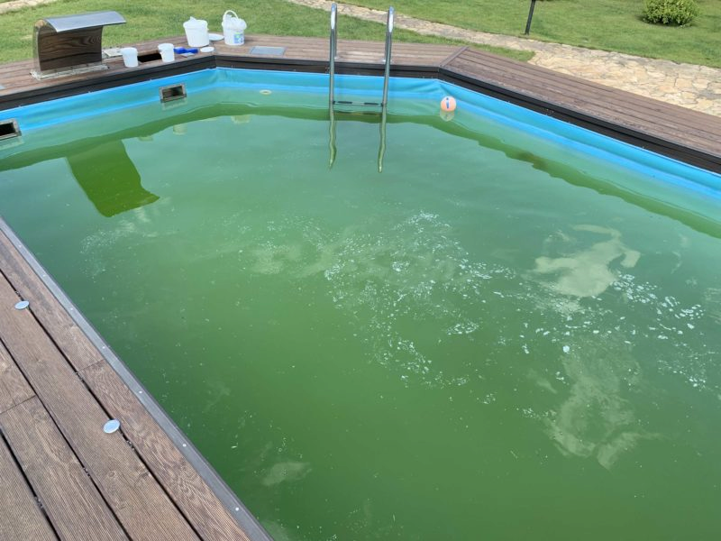 Зеленая вода в бассейне
